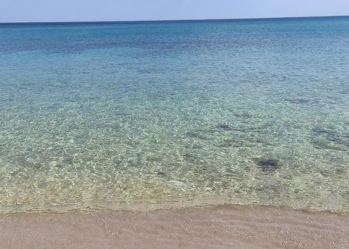 Hébergement de vacances Casa Clemente Sava